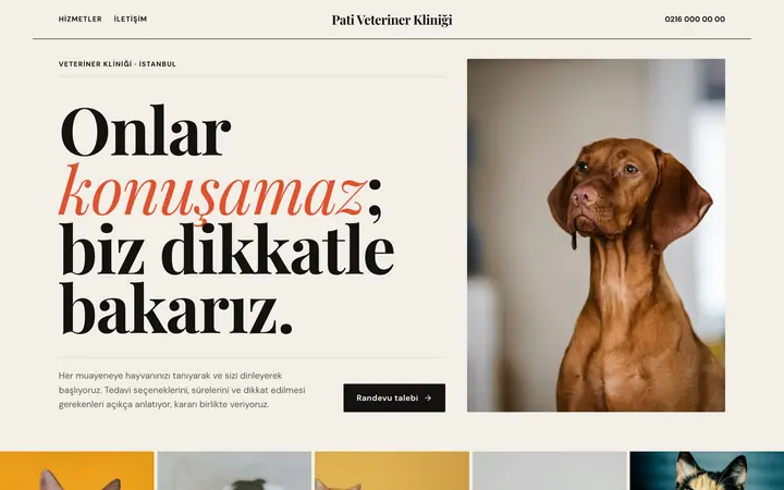 Vitrinle tasarım örneği